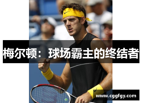 梅尔顿：球场霸主的终结者